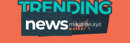 Trendingnewsmagzine.xyz